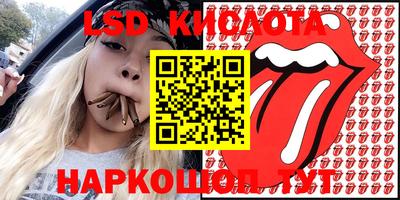 дмт Аргун