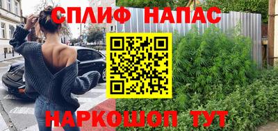 дмт Аргун
