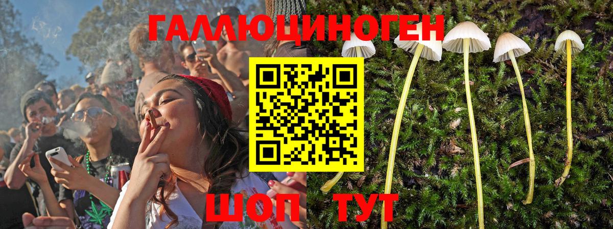 Псилоцибиновые грибы Magic Shrooms  наркошоп  Ахтубинск  Вход с VPN  Псилоцибиновые грибы Psilocybine cubensis 