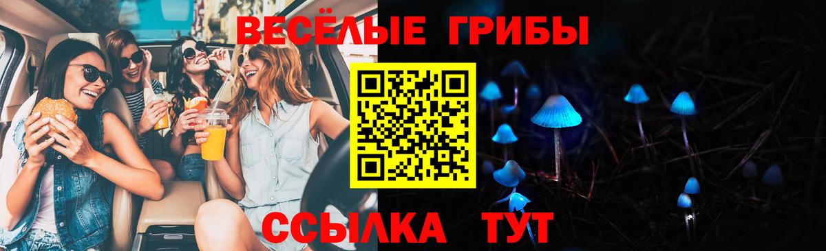 Псилоцибиновые грибы ЛСД Ахтубинск